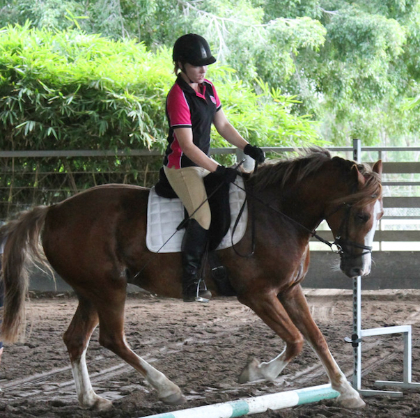 Equine Assisted Psychotherapy can help address